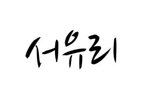KPOP Berry Good(베리굿、ベリー・グッド) 서율 (ソユル) k-pop 応援ボード メッセージ 型紙 通常