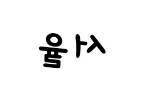 KPOP Berry Good(베리굿、ベリー・グッド) 서율 (ソユル) 名前 応援ボード 作り方 左右反転