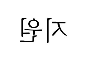 KPOP Berry Good(베리굿、ベリー・グッド) 조현 (ジョヒョン) 応援ボード・うちわ　韓国語/ハングル文字型紙 左右反転