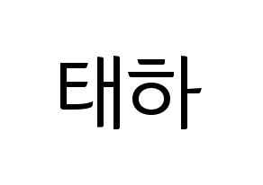 KPOP Berry Good(베리굿、ベリー・グッド) 태하 (テハ) コンサート用　応援ボード・うちわ　韓国語/ハングル文字型紙 通常