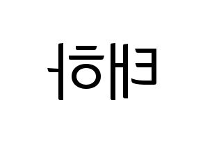 KPOP Berry Good(베리굿、ベリー・グッド) 태하 (テハ) コンサート用　応援ボード・うちわ　韓国語/ハングル文字型紙 左右反転