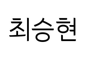 KPOP BIGBANG(빅뱅、ビッグバン) 탑 (T.O.P) コンサート用　応援ボード・うちわ　韓国語/ハングル文字型紙 通常