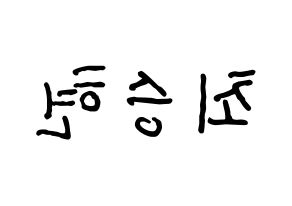 KPOP BIGBANG(빅뱅、ビッグバン) 탑 (T.O.P) k-pop アイドル名前 ファンサボード 型紙 左右反転