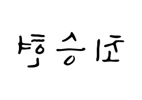 KPOP BIGBANG(빅뱅、ビッグバン) 탑 (T.O.P) 応援ボード ハングル 型紙  左右反転