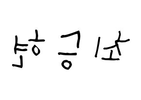 KPOP BIGBANG(빅뱅、ビッグバン) 탑 (チェ・スンヒョン, T.O.P) 無料サイン会用、イベント会用応援ボード型紙 左右反転