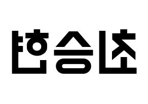 KPOP BIGBANG(빅뱅、ビッグバン) 탑 (T.O.P) 名前 応援ボード 作り方 左右反転