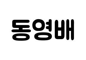KPOP BIGBANG(빅뱅、ビッグバン) 태양 (トン・ヨンベ, SOL) 応援ボード、うちわ無料型紙、応援グッズ 通常