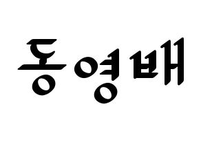 KPOP BIGBANG(빅뱅、ビッグバン) 태양 (SOL) 応援ボード ハングル 型紙  通常