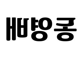 KPOP BIGBANG(빅뱅、ビッグバン) 태양 (SOL) コンサート用　応援ボード・うちわ　韓国語/ハングル文字型紙 左右反転