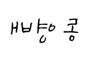 KPOP BIGBANG(빅뱅、ビッグバン) 태양 (SOL) 応援ボード ハングル 型紙  左右反転