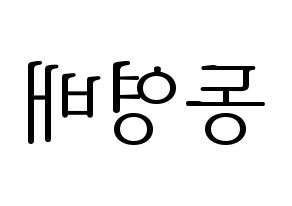 KPOP BIGBANG(빅뱅、ビッグバン) 태양 (SOL) 応援ボード・うちわ　韓国語/ハングル文字型紙 左右反転