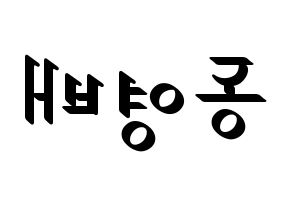 KPOP BIGBANG(빅뱅、ビッグバン) 태양 (SOL) 応援ボード ハングル 型紙  左右反転