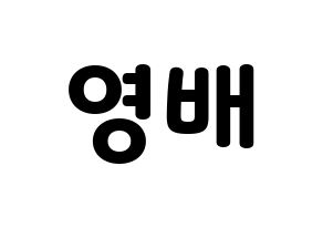 KPOP BIGBANG(빅뱅、ビッグバン) 태양 (SOL) 応援ボード・うちわ　韓国語/ハングル文字型紙 通常