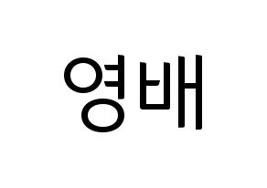 KPOP BIGBANG(빅뱅、ビッグバン) 태양 (SOL) コンサート用　応援ボード・うちわ　韓国語/ハングル文字型紙 通常