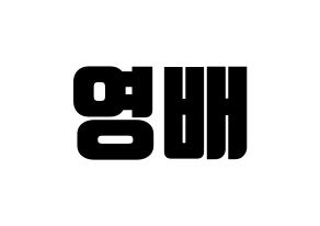 KPOP BIGBANG(빅뱅、ビッグバン) 태양 (SOL) コンサート用　応援ボード・うちわ　韓国語/ハングル文字型紙 通常