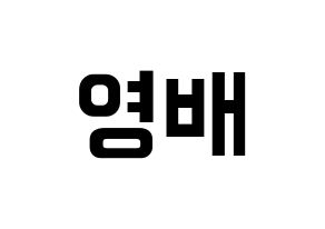 KPOP BIGBANG(빅뱅、ビッグバン) 태양 (SOL) k-pop アイドル名前 ファンサボード 型紙 通常