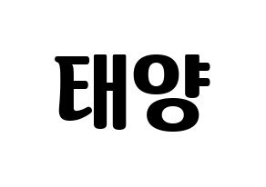 KPOP BIGBANG(빅뱅、ビッグバン) 태양 (SOL) コンサート用　応援ボード・うちわ　韓国語/ハングル文字型紙 通常