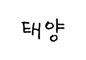 KPOP BIGBANG(빅뱅、ビッグバン) 태양 (SOL) k-pop アイドル名前 ファンサボード 型紙 通常