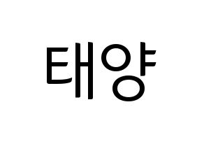 KPOP BIGBANG(빅뱅、ビッグバン) 태양 (SOL) コンサート用　応援ボード・うちわ　韓国語/ハングル文字型紙 通常