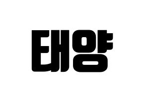 KPOP BIGBANG(빅뱅、ビッグバン) 태양 (SOL) コンサート用　応援ボード・うちわ　韓国語/ハングル文字型紙 通常