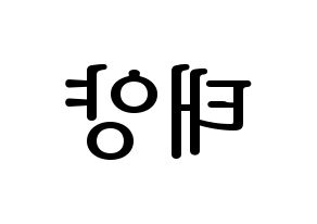 KPOP BIGBANG(빅뱅、ビッグバン) 태양 (SOL) プリント用応援ボード型紙、うちわ型紙　韓国語/ハングル文字型紙 左右反転