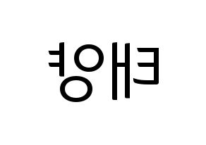 KPOP BIGBANG(빅뱅、ビッグバン) 태양 (SOL) コンサート用　応援ボード・うちわ　韓国語/ハングル文字型紙 左右反転