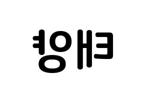 KPOP BIGBANG(빅뱅、ビッグバン) 태양 (トン・ヨンベ, SOL) k-pop アイドル名前　ボード 言葉 左右反転