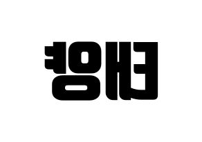 KPOP BIGBANG(빅뱅、ビッグバン) 태양 (SOL) コンサート用　応援ボード・うちわ　韓国語/ハングル文字型紙 左右反転