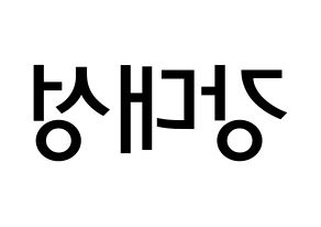 KPOP BIGBANG(빅뱅、ビッグバン) 대성 (カン・デソン, D-LITE) 無料サイン会用、イベント会用応援ボード型紙 左右反転