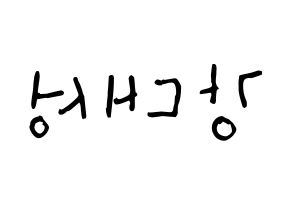 KPOP BIGBANG(빅뱅、ビッグバン) 대성 (カン・デソン, D-LITE) 無料サイン会用、イベント会用応援ボード型紙 左右反転