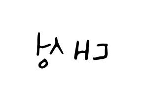 KPOP BIGBANG(빅뱅、ビッグバン) 대성 (D-LITE) 応援ボード ハングル 型紙  左右反転