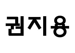 KPOP BIGBANG(빅뱅、ビッグバン) 지드래곤 (クォン・ジヨン, G-DRAGON) 応援ボード、うちわ無料型紙、応援グッズ 通常