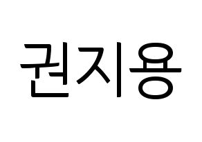 KPOP BIGBANG(빅뱅、ビッグバン) 지드래곤 (G-DRAGON) コンサート用　応援ボード・うちわ　韓国語/ハングル文字型紙 通常