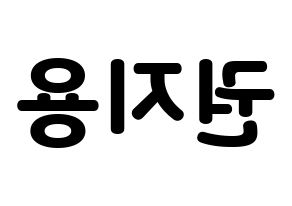 KPOP BIGBANG(빅뱅、ビッグバン) 지드래곤 (G-DRAGON) 応援ボード・うちわ　韓国語/ハングル文字型紙 左右反転
