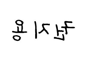 KPOP BIGBANG(빅뱅、ビッグバン) 지드래곤 (G-DRAGON) k-pop アイドル名前 ファンサボード 型紙 左右反転