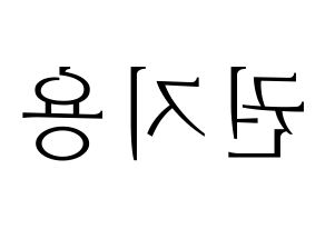 KPOP BIGBANG(빅뱅、ビッグバン) 지드래곤 (G-DRAGON) 応援ボード・うちわ　韓国語/ハングル文字型紙 左右反転