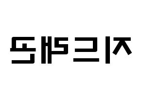 KPOP BIGBANG(빅뱅、ビッグバン) 지드래곤 (クォン・ジヨン, G-DRAGON) 応援ボード、うちわ無料型紙、応援グッズ 左右反転