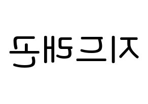 KPOP BIGBANG(빅뱅、ビッグバン) 지드래곤 (クォン・ジヨン, G-DRAGON) 無料サイン会用、イベント会用応援ボード型紙 左右反転