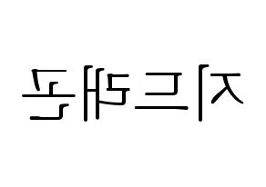 KPOP BIGBANG(빅뱅、ビッグバン) 지드래곤 (G-DRAGON) 応援ボード・うちわ　韓国語/ハングル文字型紙 左右反転