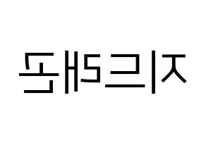 KPOP BIGBANG(빅뱅、ビッグバン) 지드래곤 (G-DRAGON) プリント用応援ボード型紙、うちわ型紙　韓国語/ハングル文字型紙 左右反転