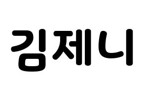 KPOP Black Pink(블랙핑크、ブラックピンク) 제니 (ジェニー) 応援ボード・うちわ　韓国語/ハングル文字型紙 通常