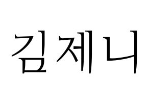 KPOP Black Pink(블랙핑크、ブラックピンク) 제니 (ジェニー) 応援ボード・うちわ　韓国語/ハングル文字型紙 通常