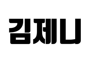 KPOP Black Pink(블랙핑크、ブラックピンク) 제니 (ジェニー) コンサート用　応援ボード・うちわ　韓国語/ハングル文字型紙 通常