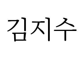 KPOP Black Pink(블랙핑크、ブラックピンク) 지수 (ジス) 応援ボード・うちわ　韓国語/ハングル文字型紙 通常