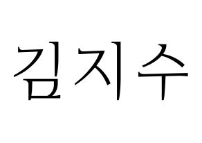 KPOP Black Pink(블랙핑크、ブラックピンク) 지수 (ジス) 応援ボード・うちわ　韓国語/ハングル文字型紙 通常