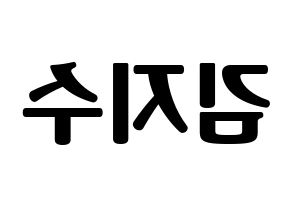 KPOP Black Pink(블랙핑크、ブラックピンク) 지수 (ジス) コンサート用　応援ボード・うちわ　韓国語/ハングル文字型紙 左右反転