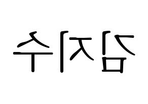 KPOP Black Pink(블랙핑크、ブラックピンク) 지수 (ジス) 応援ボード・うちわ　韓国語/ハングル文字型紙 左右反転