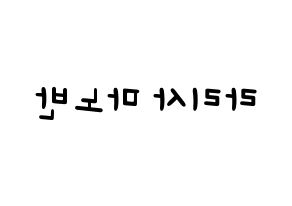 KPOP Black Pink(블랙핑크、ブラックピンク) 리사 (リサ) 名前 応援ボード 作り方 左右反転