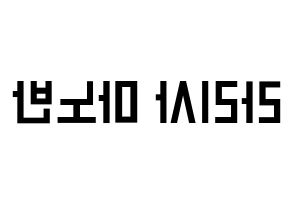 KPOP Black Pink(블랙핑크、ブラックピンク) 리사 (リサ) 名前 応援ボード 作り方 左右反転