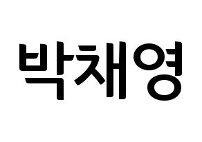 KPOP Black Pink(블랙핑크、ブラックピンク) 로제 (ロゼ) k-pop アイドル名前 ファンサボード 型紙 通常